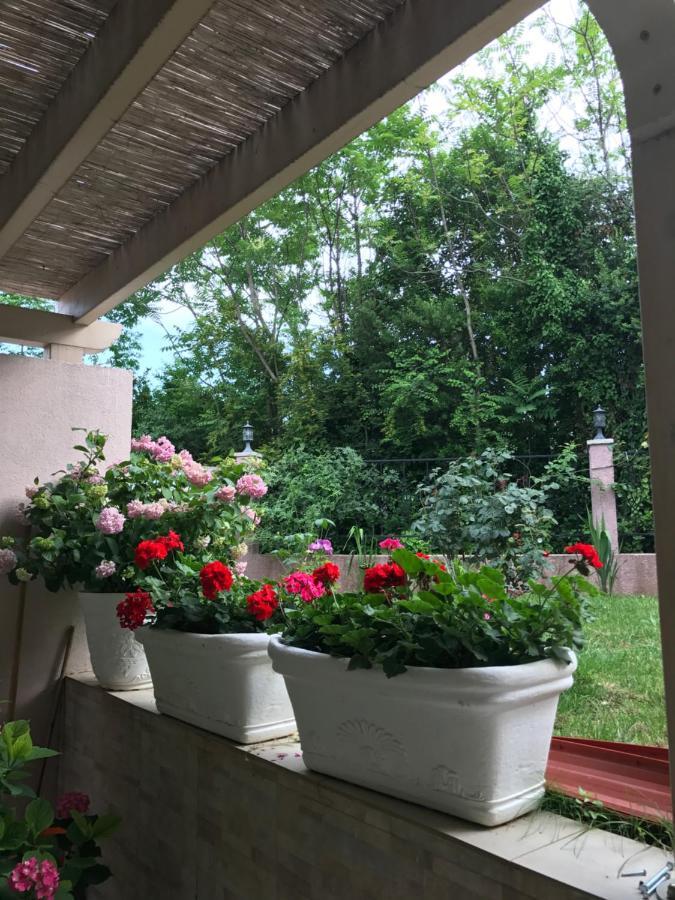 Villa Alla Bed And Breakfast Херцег Нови Екстериор снимка